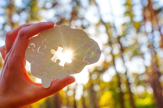 Hand holding white brain puzzle with forest and sun behind it