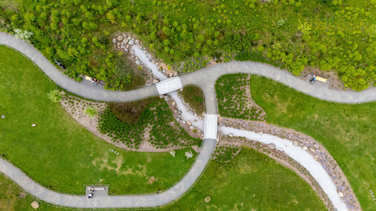 The Future of Wellness Science: Natural GLP-1 Boosters