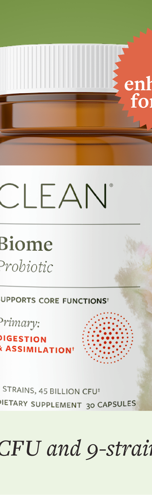 Clean Biome Probiotic Supplement