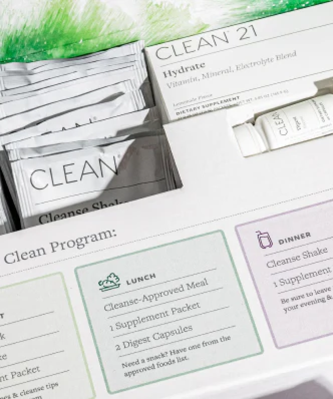 clean 21 program box