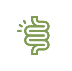 Gut Health