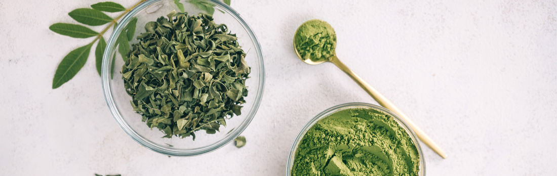 Why Should You Take Fermented Moringa?