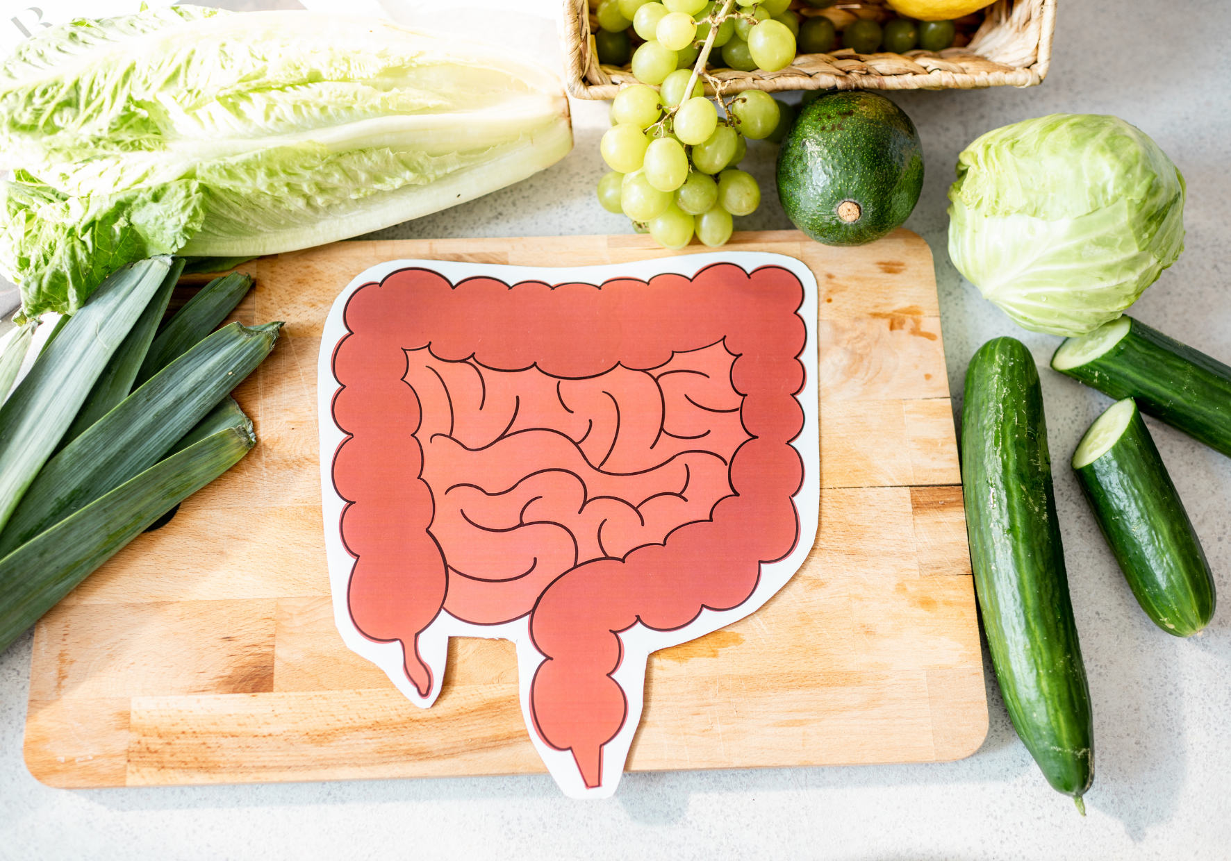 10 Easy Ways To Repair & Reset Your Gut