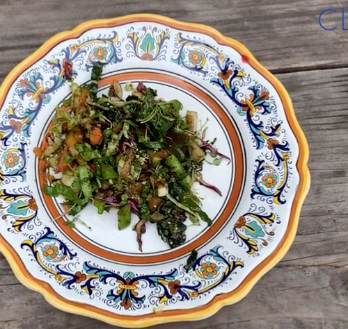 Dr. Junger's Superfood Rainbow Salad Recipe