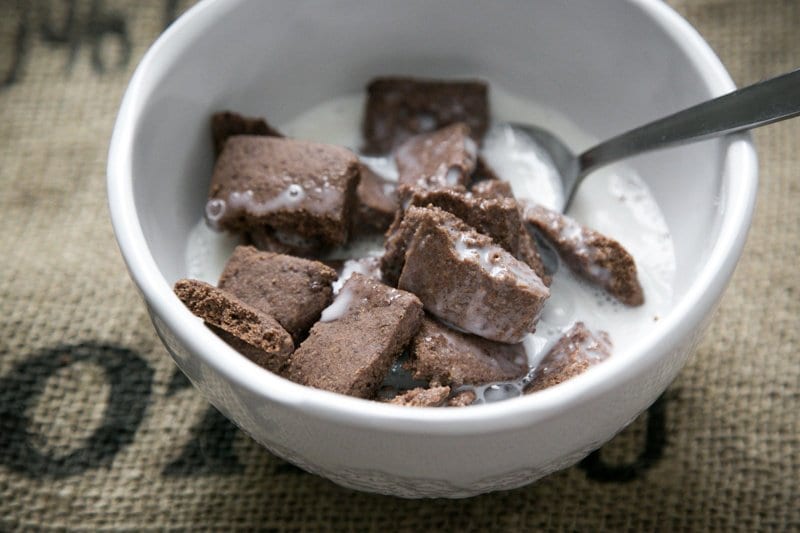 Chocolate Cinnamon Squares