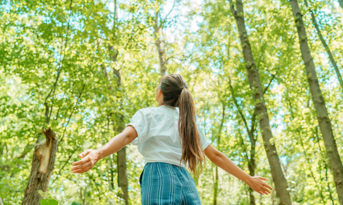 Beyond the "Dopamine Hit": How to Stop Morning Scrolling and Retrain Your Brain
