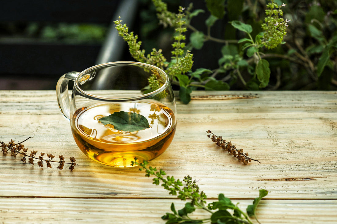 Tulsi tea clear mug on a wood tabletop and herbs