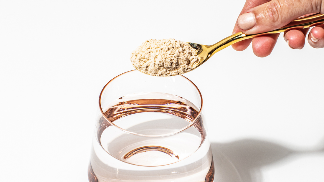 Spoon full of gut integrity powder going into a glass of water