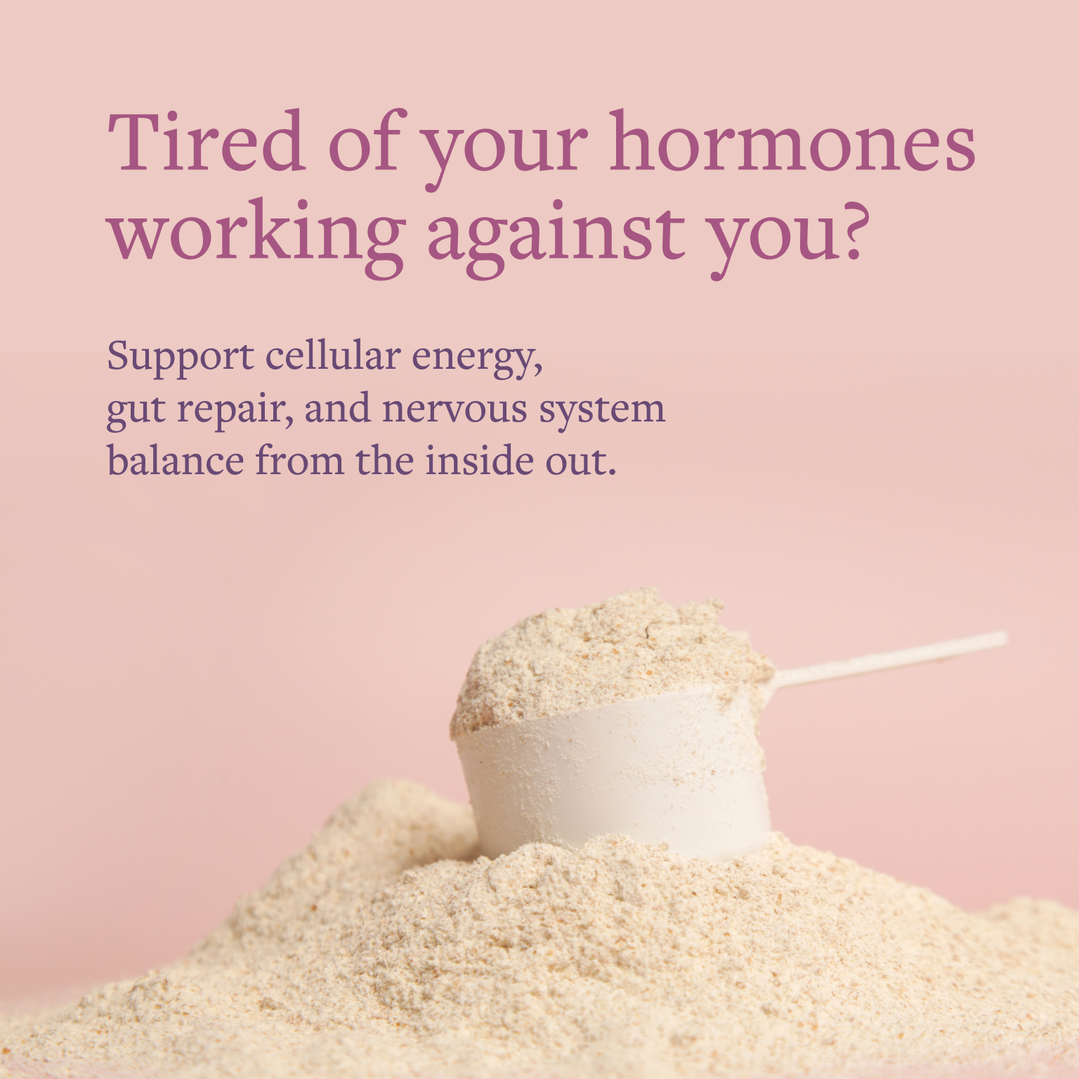 Creatine + Collagen