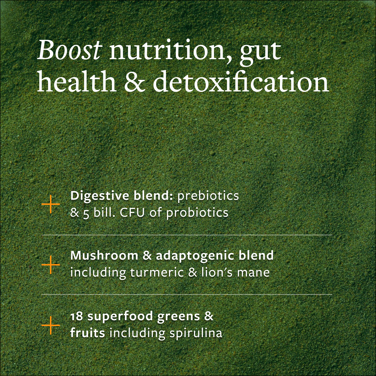 Jump to Clean Greens Superfood Mushrooms & Probiotic Blend in product gallery