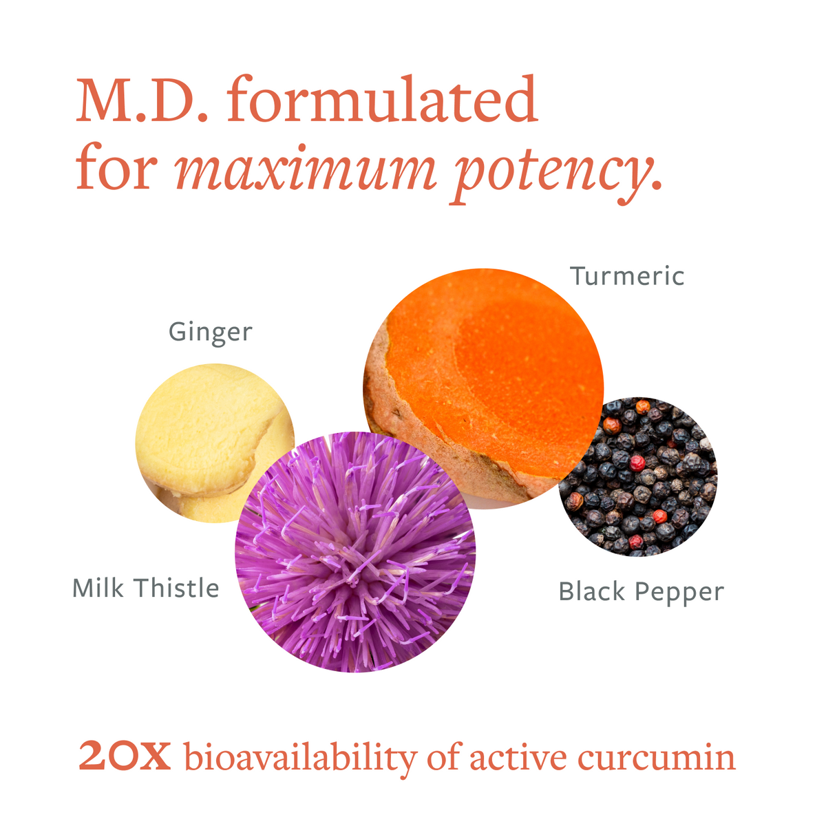 Clean Turmeric Liver Support