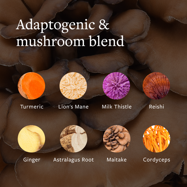Background of mushrooms. Adaptogenic & mushroom blend with ingredients listed.
