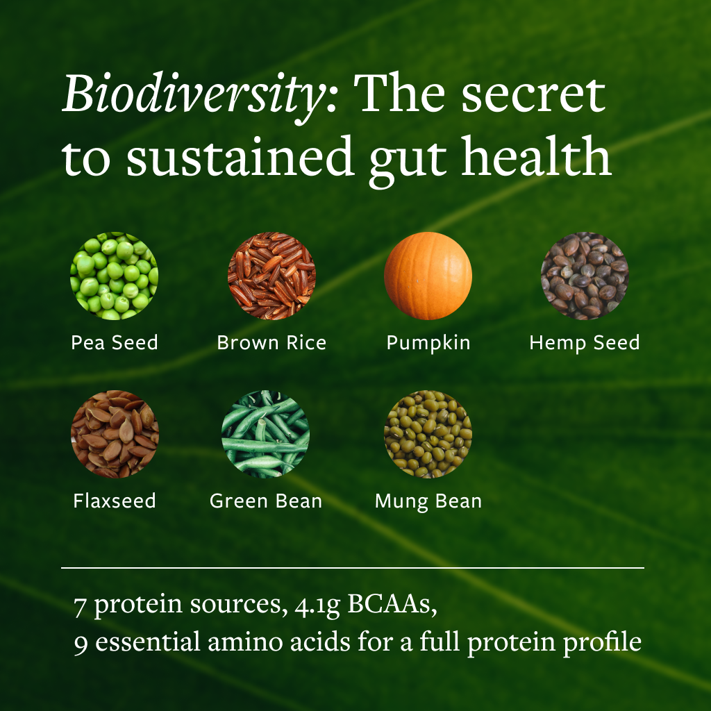 Daily Shake Probiotic Protein Powder