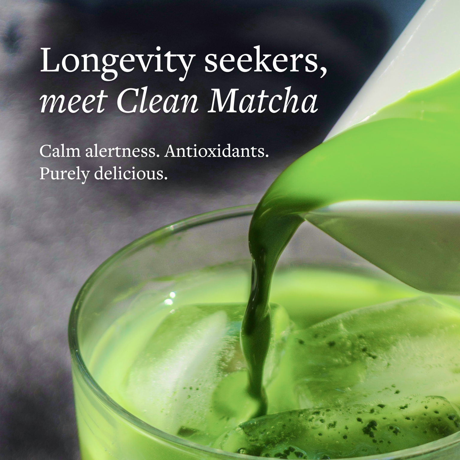 Organic Matcha Powder Green Tea