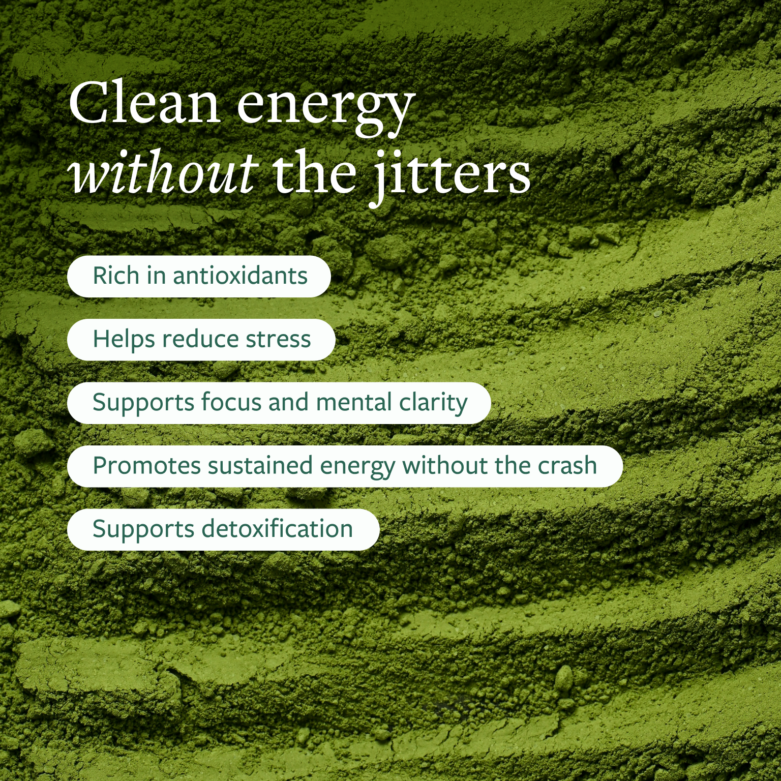 Organic Matcha Powder Green Tea