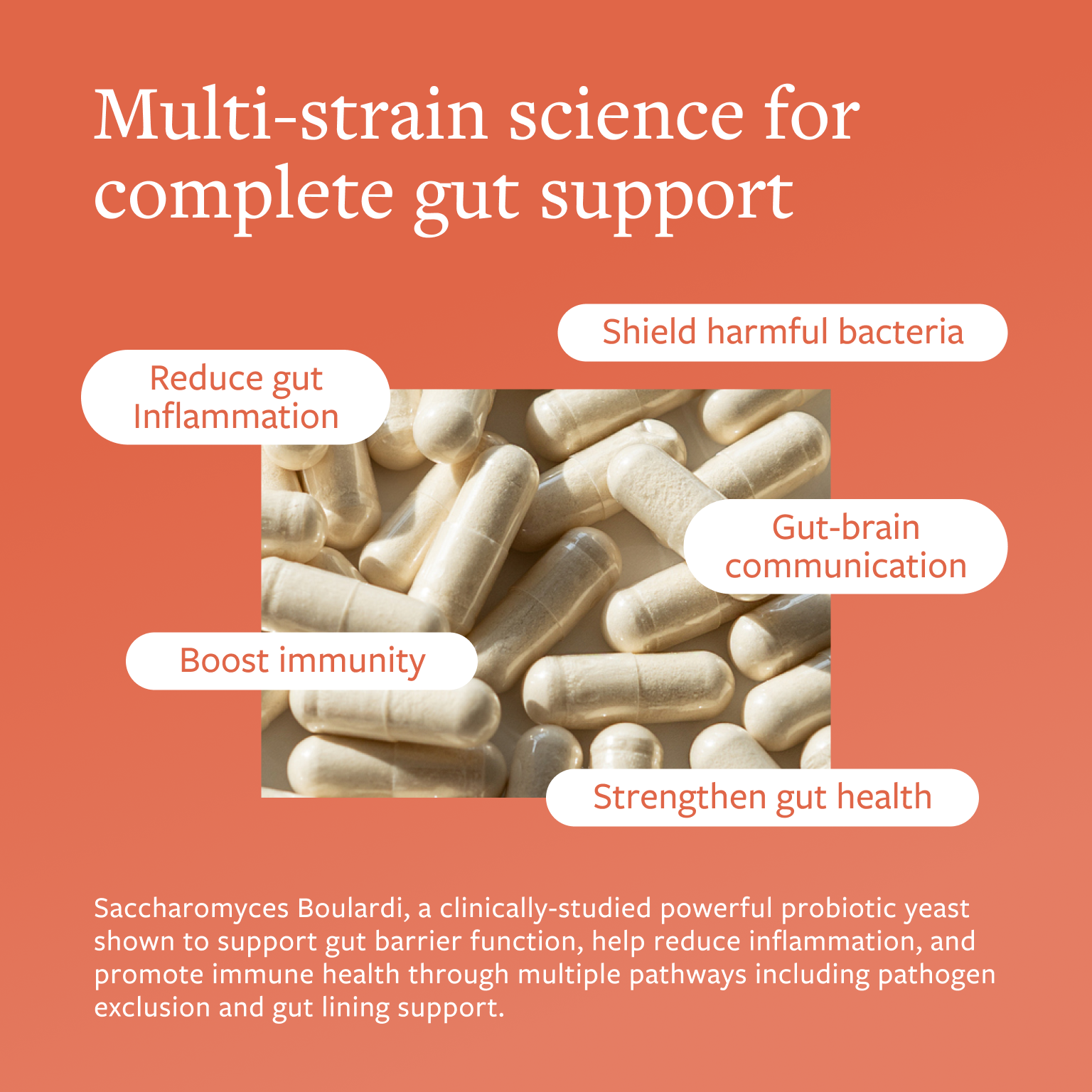 Jump to Clean Biome Daily Probiotic in product gallery