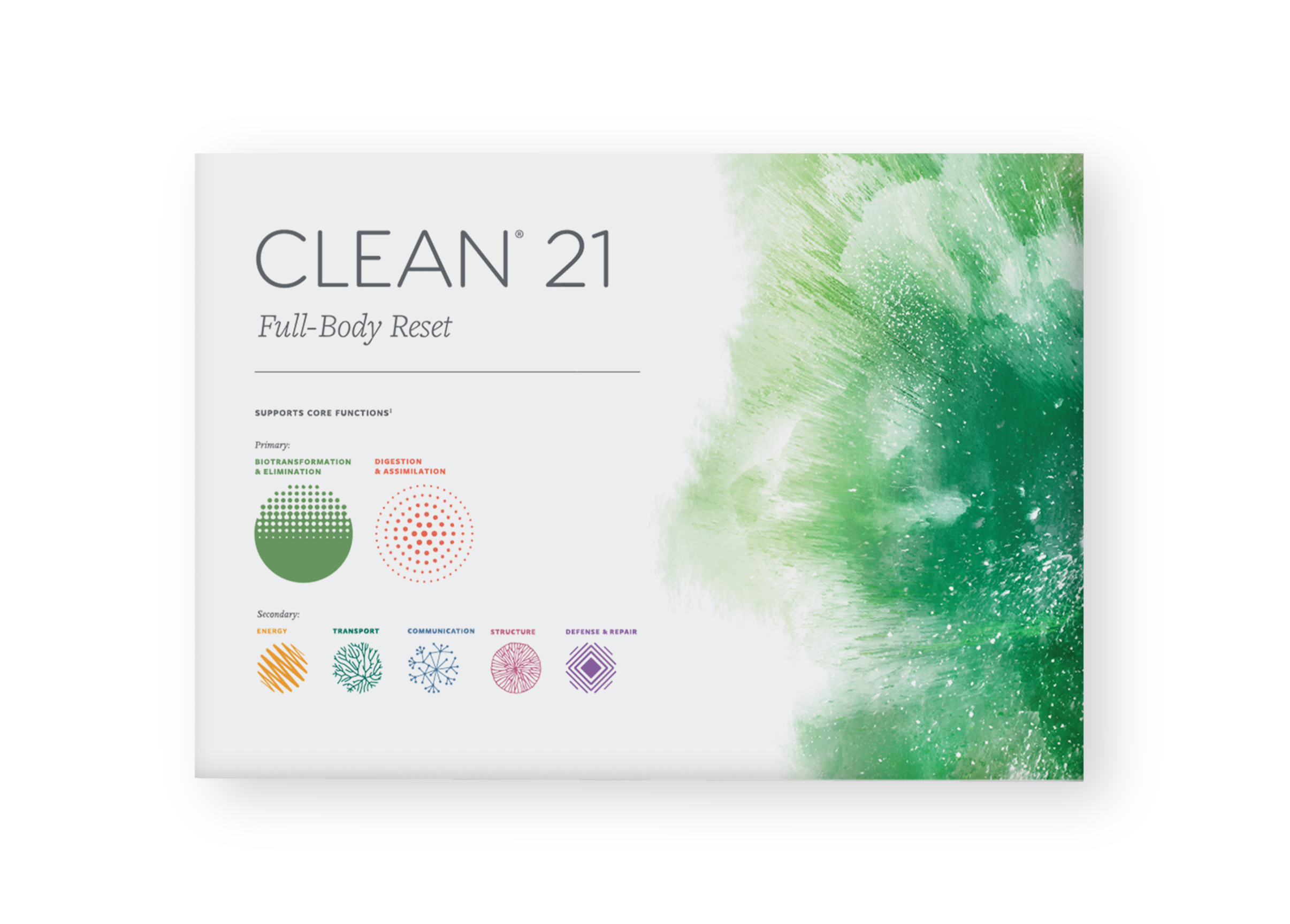Clean 21 Kit