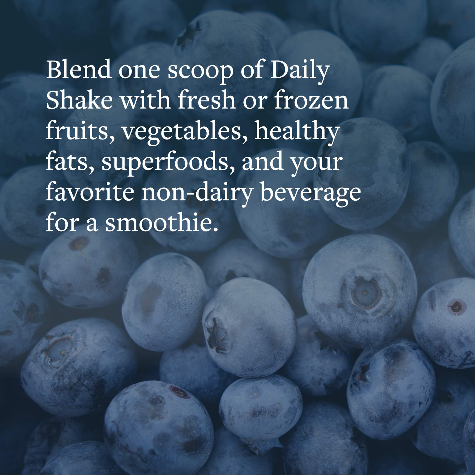 Jump to Daily Shake Probiotic Protein Powder in product gallery