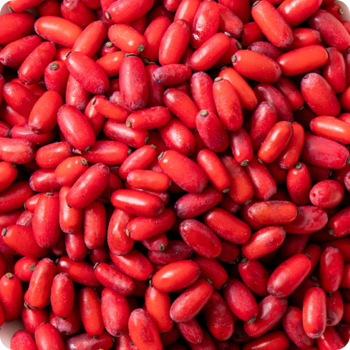 Close-up of a pile of red berberine