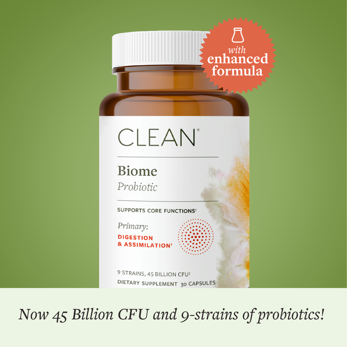Gut Balancing Supplement