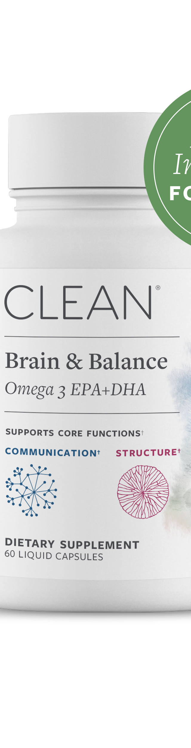 Brain & Balance