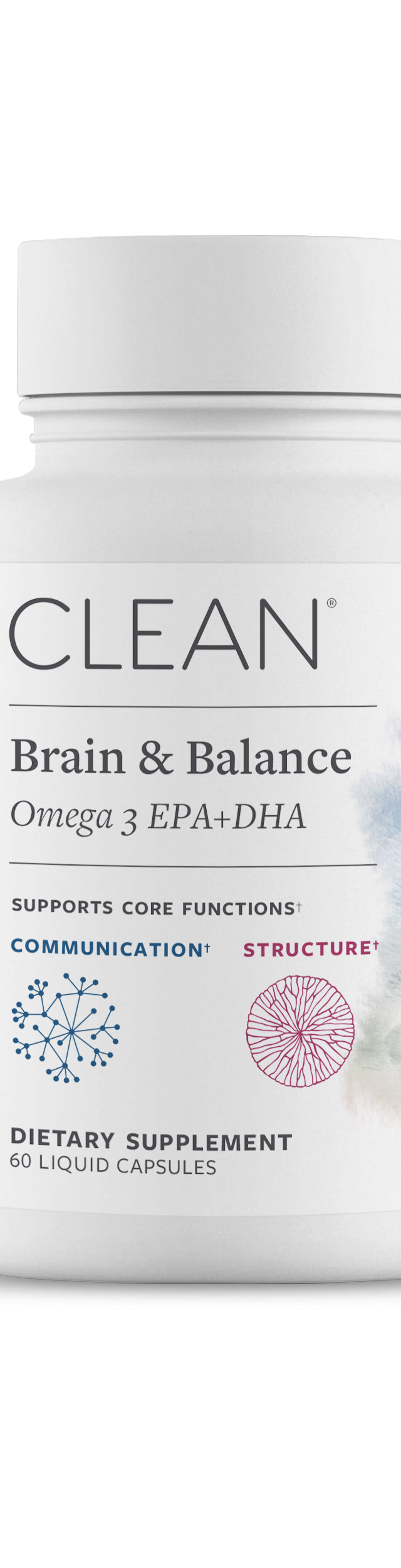 Brain & Balance