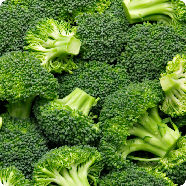 Close-up of fresh green broccoli florets