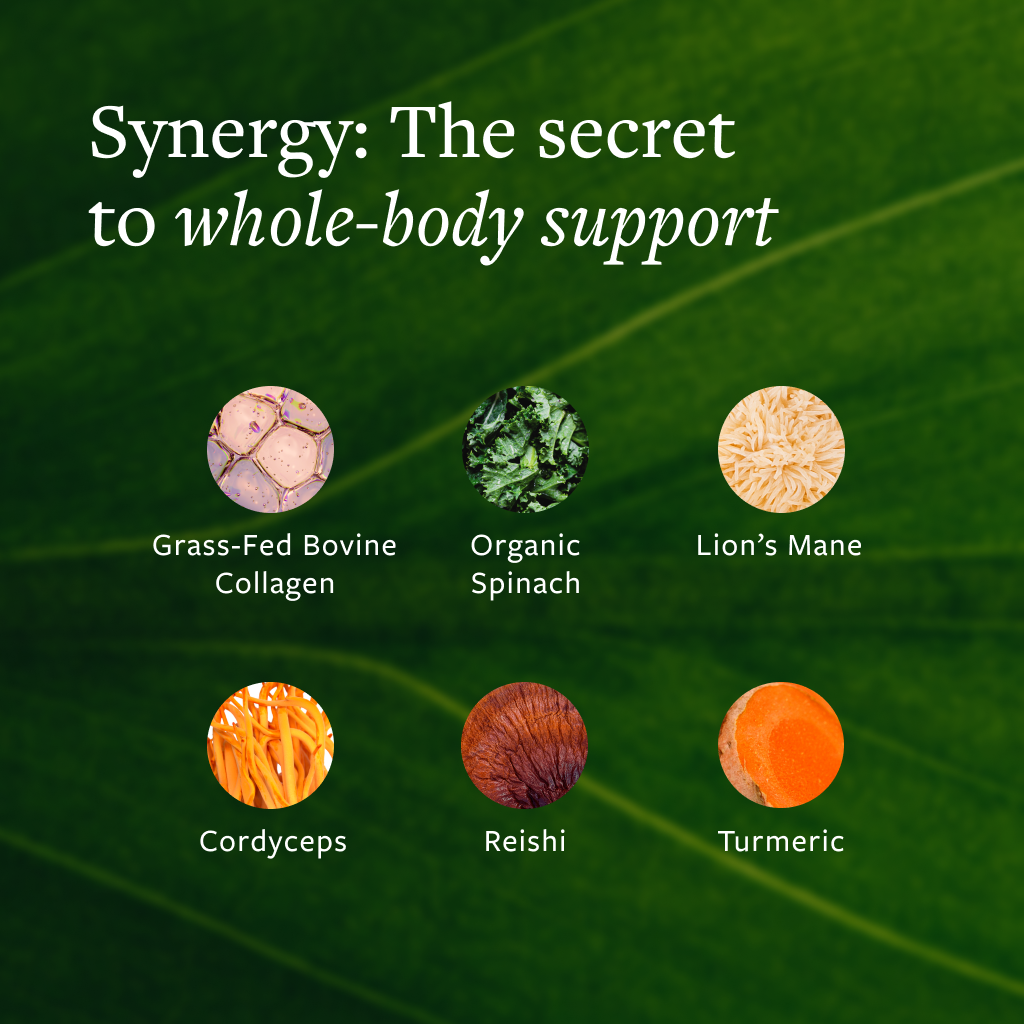 Savory Bone Broth