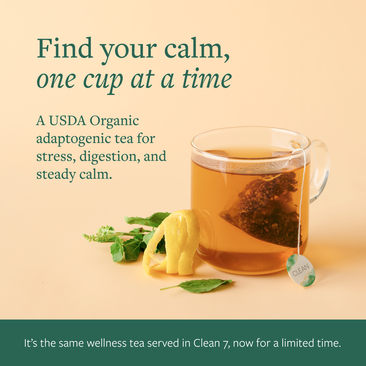 Tulsi Wellness Tea