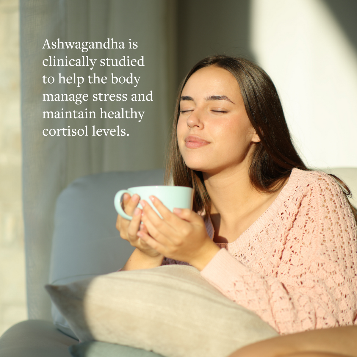 Tulsi Wellness Tea