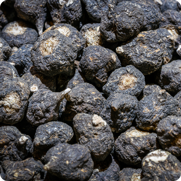Close-up of dark, textured tea leaves