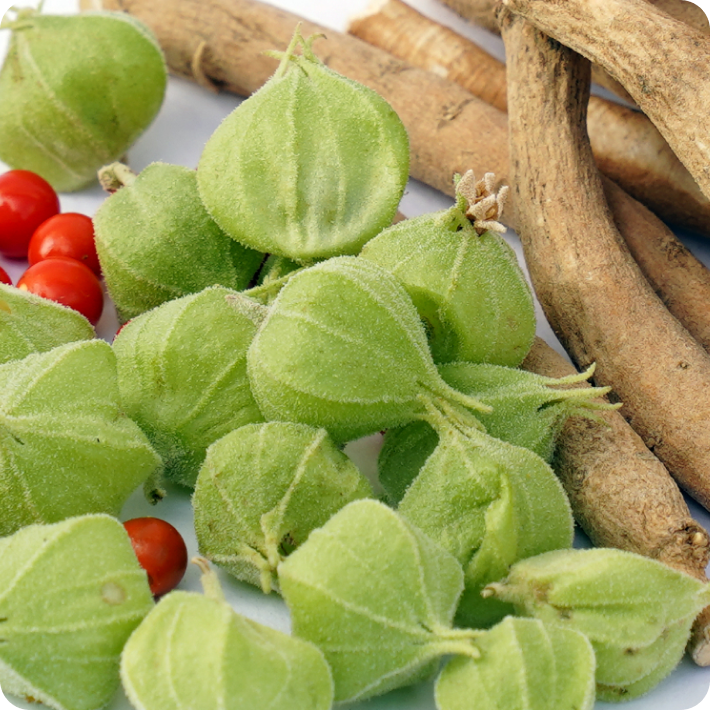 Green tomatillos and red tomatoes on a white surface with brown roots in the background