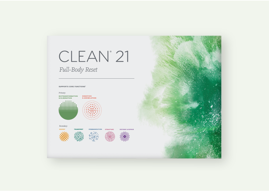 Modern Clean Program Guide Layout January Community Reset – Clean Program