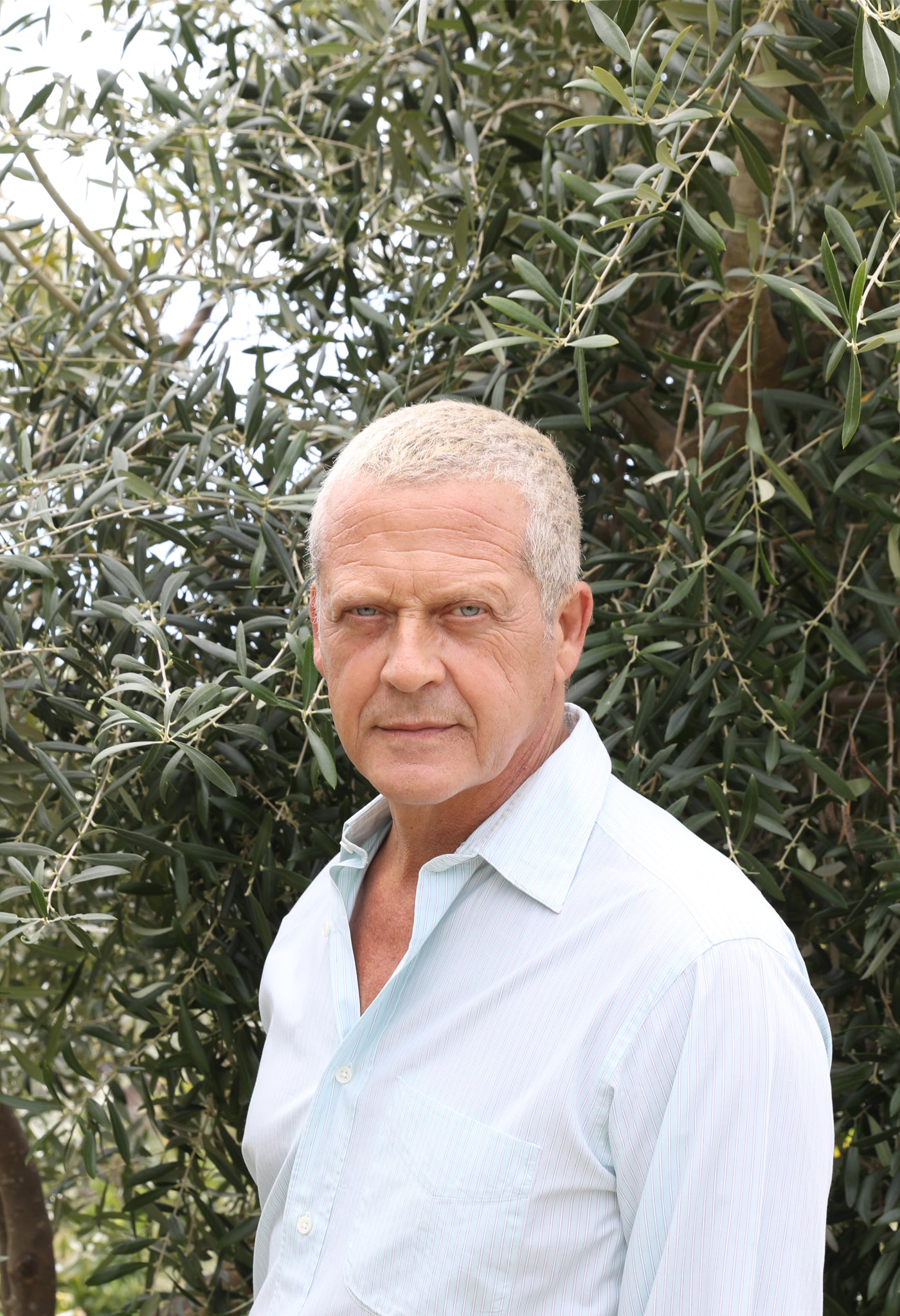 About Us – Clean Program